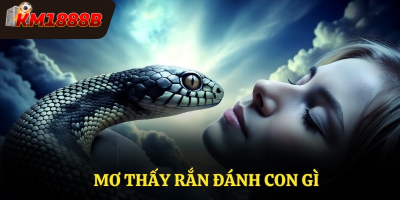 Mơ Thấy Rắn Đánh Con Gì KM1888B Giải Mã Và Cơ Hội Trúng Lớn