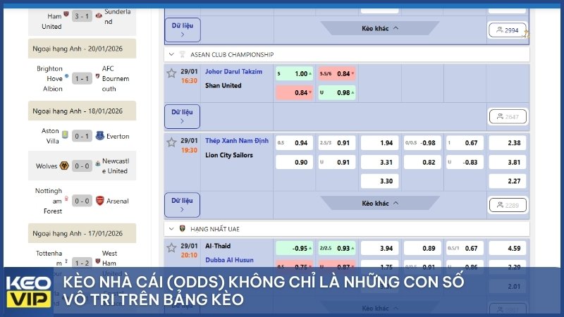 Kèo nhà cái (Odds) không chỉ là những con số vô tri trên bảng kèo.